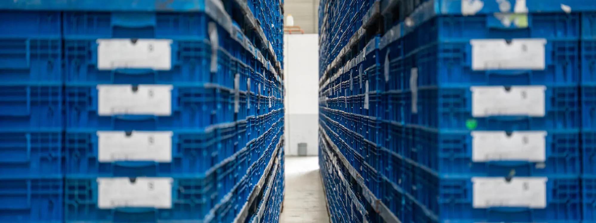 Blaue Mehrwegbehälter gestapelt im Lager eines Kontraktlogistik-Dienstleisters