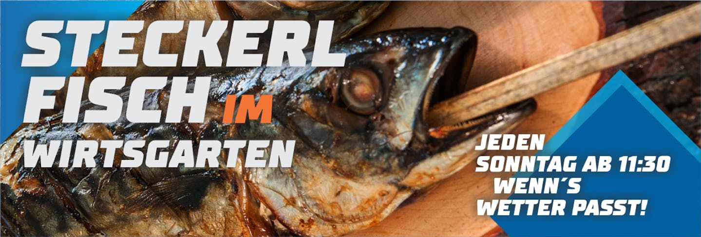Steckerfisch Angebot