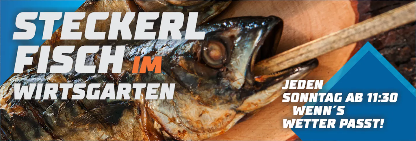 Steckerfisch Angebot