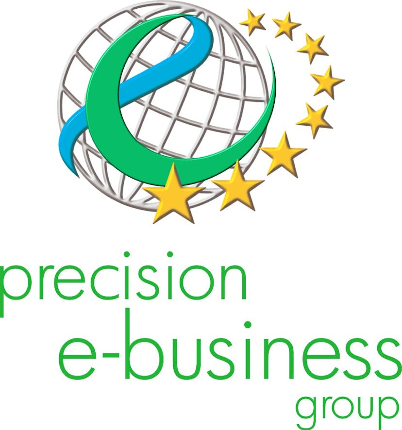 precision e-business group logo
