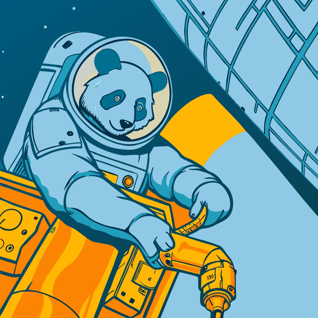 panda in space station auditing