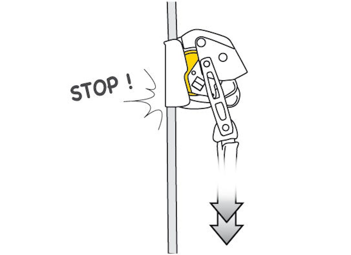 PETZL ASAP Lock focus 2