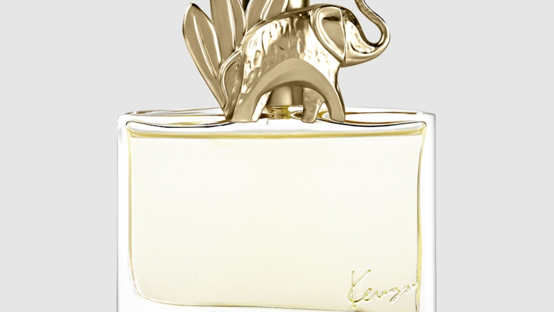 Jungle by Kenzo is the 7th best long lasting perfume for women