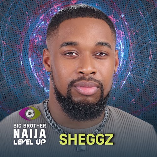 Sheggz BBNaija