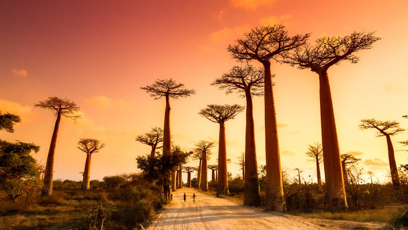 Madagascar, one of the countries that Nigerians can travel to without visa