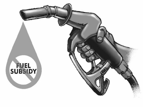 Image of a fuel pump and a caption that reads, "fuel subsidy"