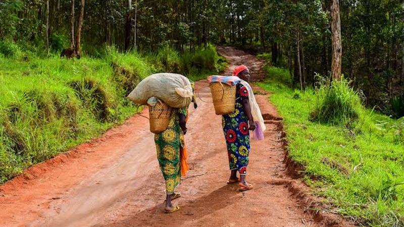 Taraba State is one of the poorest states in Nigeria