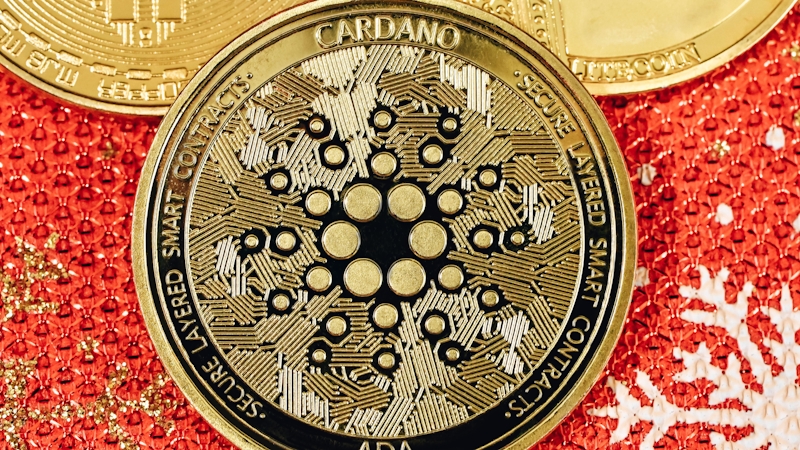The Cardano network