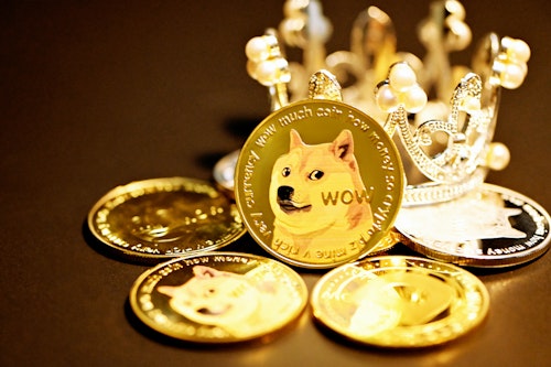 Shiba Inu Coin.