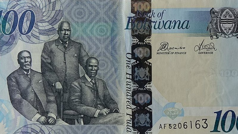 Le pula botswanais est l'une des devises les plus fortes d'Afrique