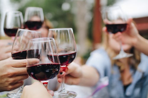 Friends raising their wine glasses