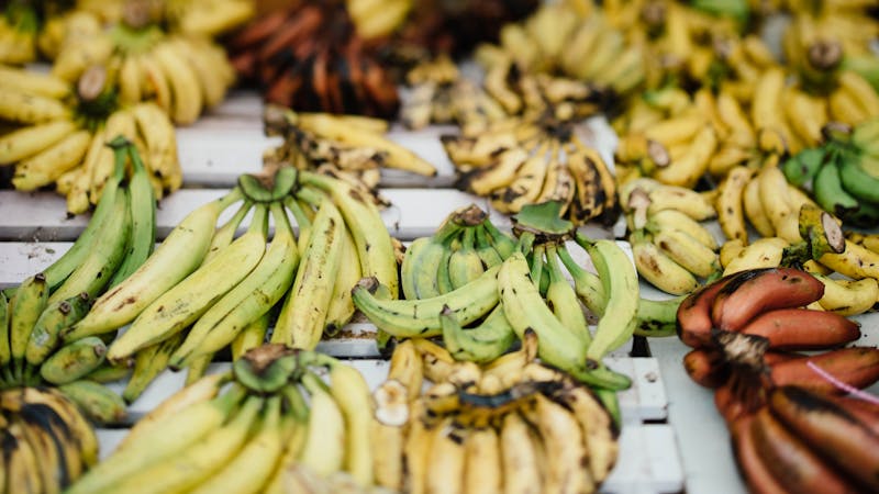 Unripe plantain for cooking healthy meals