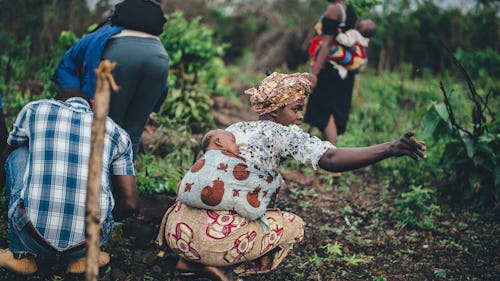 Black people in the farm harvesting vegetables and herbs