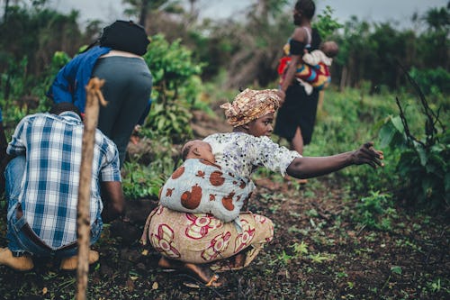 Black people in the farm harvesting vegetables and herbs