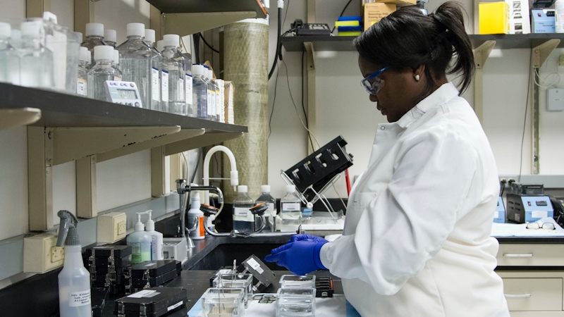 A Black laboratory scientist carrying out lab tests for diagnosis