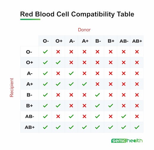 My blood group is B positive and my husband's blood group is O