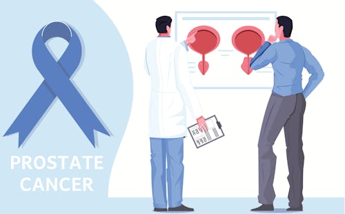 A doctor teaching a man about prostate cancer and answering questions about the prostate gland