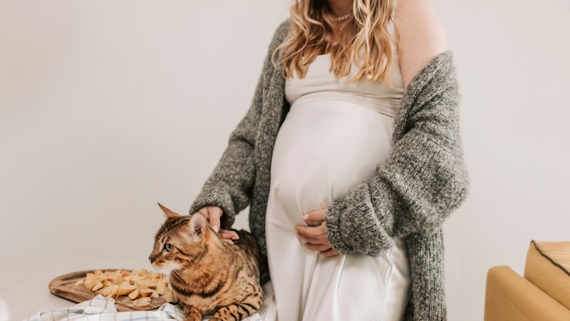 A pregnant woman feeding a brown cat 