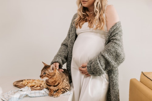 A pregnant woman feeding a brown cat 