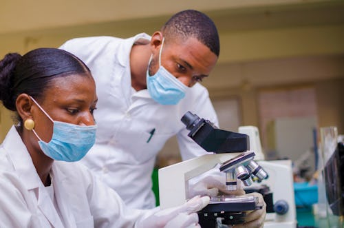 Laboratory technicians viewing a blood via microscope to detect H Pylori