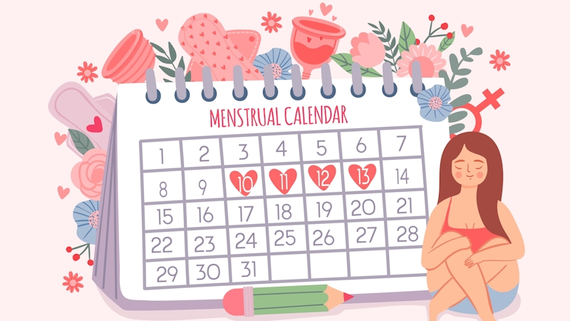 Menstrual cycle calendar avatar