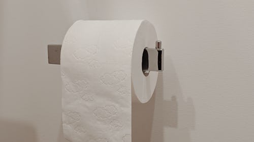 Picture of a tissue paper roll on a silver holder