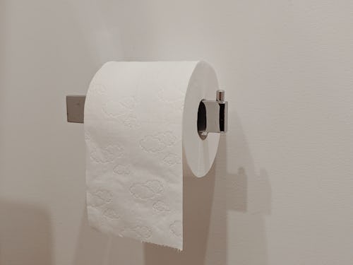 Picture of a tissue paper roll on a silver holder