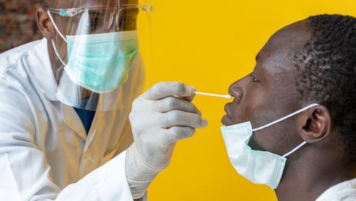 A laboratory scientist taking a nose swab for DNA test