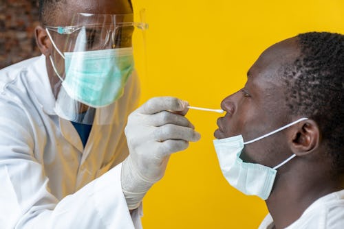 A laboratory scientist taking a nose swab for DNA test