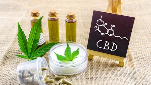A picture of the cannabis plant, CBD (cannabidiol) pills and CBD oil