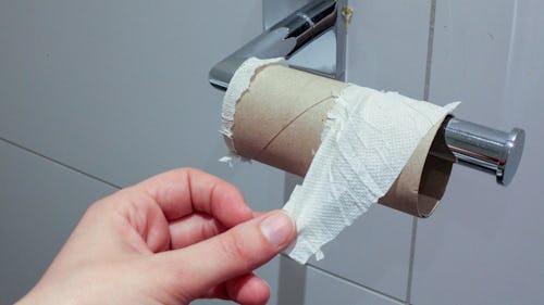 A white person in the toilet touching a tissue paper roll on a sliver holder