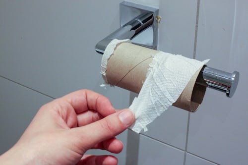 A white person in the toilet touching a tissue paper roll on a sliver holder