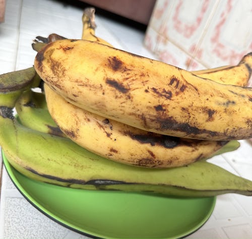 Bunches of ripe and unripe plantain placed on a green plate