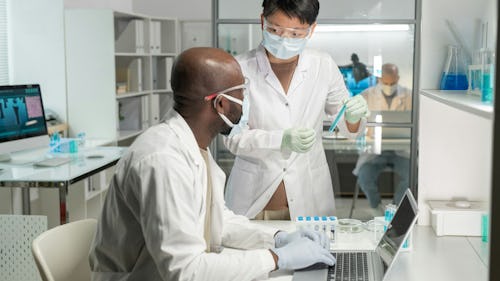 Tow laboratory scientists carrying out a test in the laboratory using samples