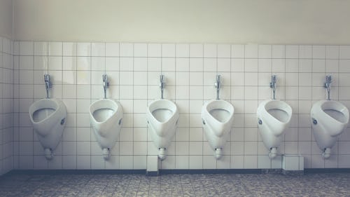 Picture of a toilet with different seats for urinating