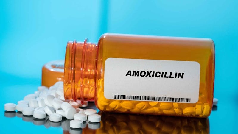 Amoxicillin antibiotic drug for treating bacterial infections like stomach ulcers