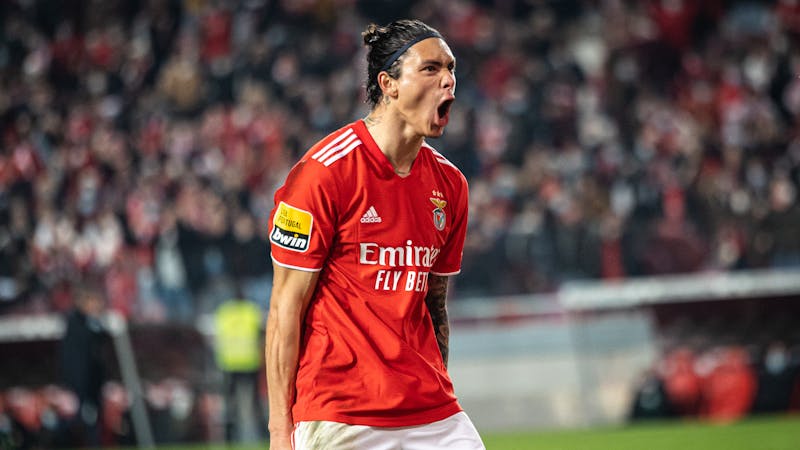 Image of Benfica's gifted striker Darwin Núñez