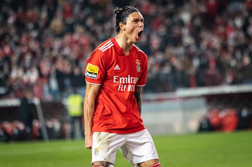 Image of Benfica's gifted striker Darwin Núñez