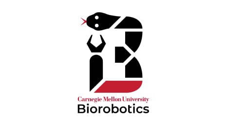 Biorobotics Lab Logo