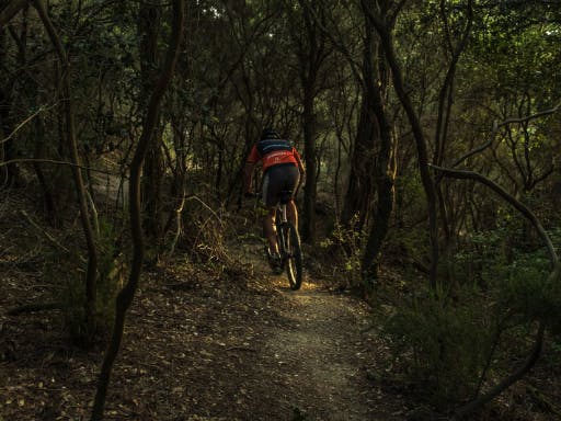 A man cycling in Collserola, near Barcelona