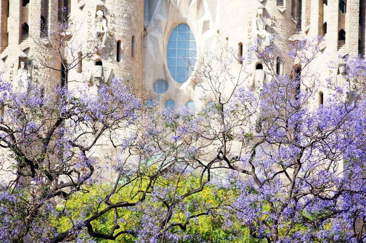 Best things to do in Barcelona for spring 2023