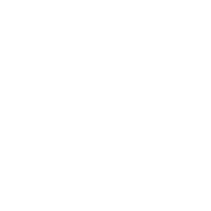A simple leaf icon.