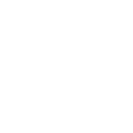 A simple leaf icon.