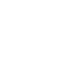 An icon of a person with a star, representing experience.