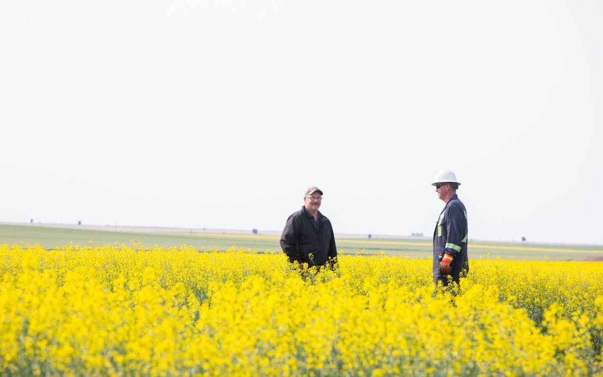 An oil worker and a farmer chat in a canola field.
