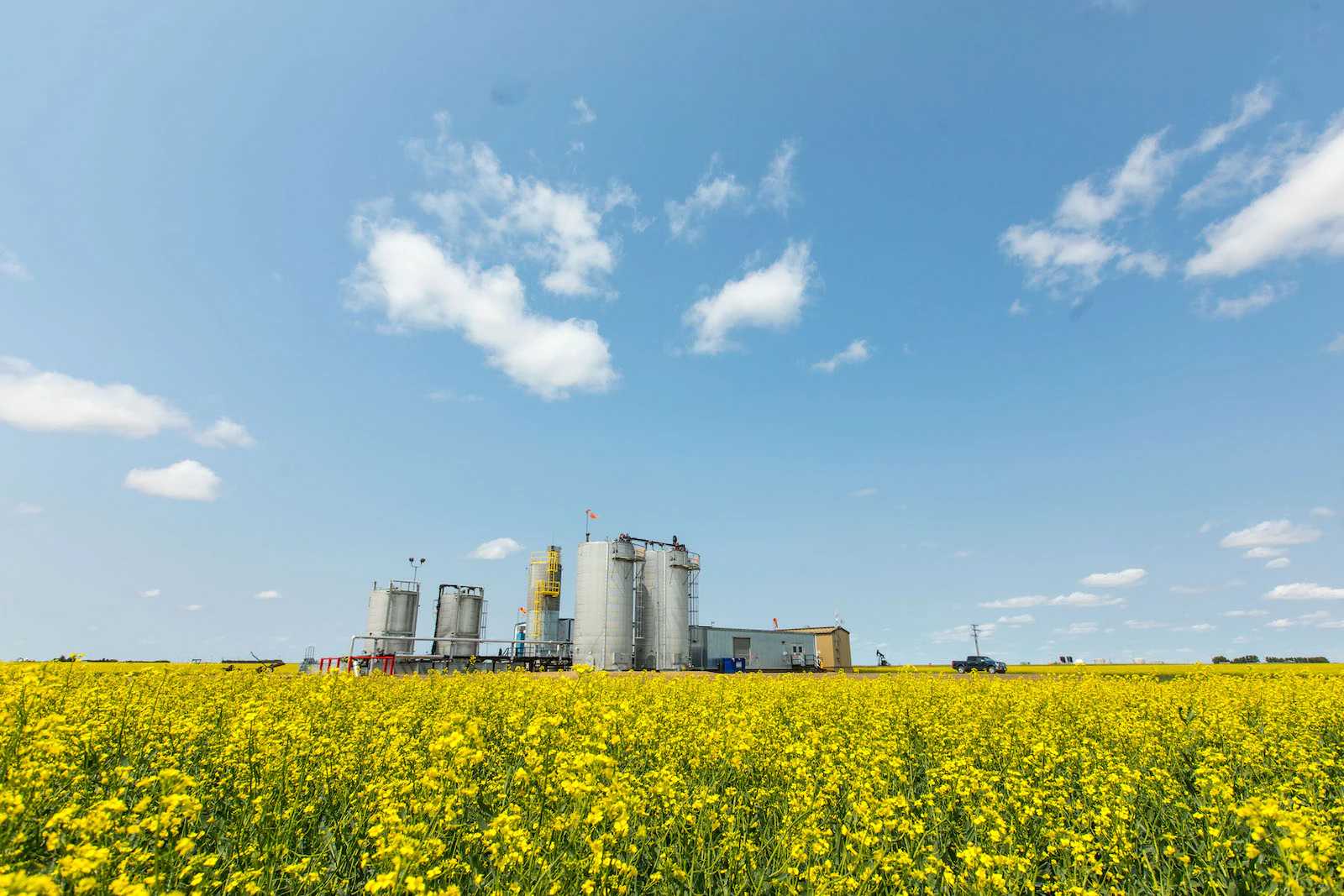 An oil rig in a canola field.