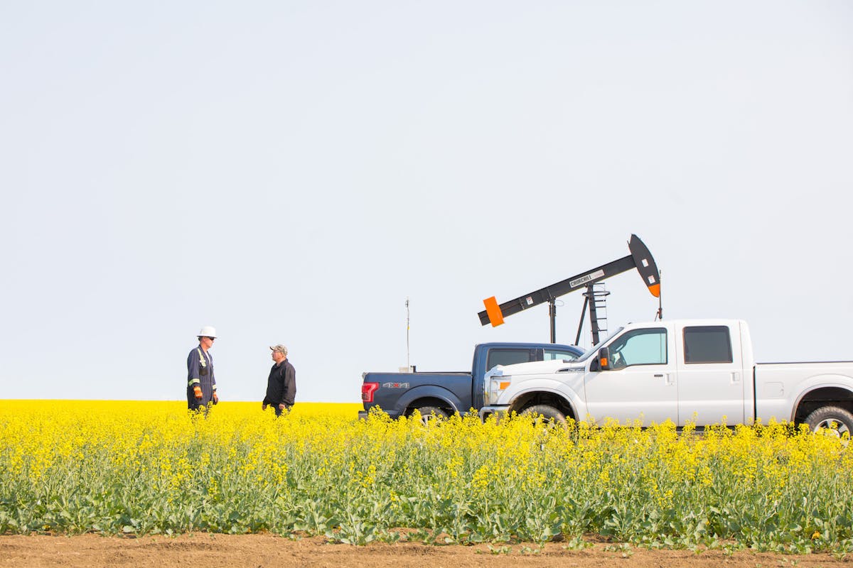 Two men chat in a canola field, near oil machinery and two trucks.