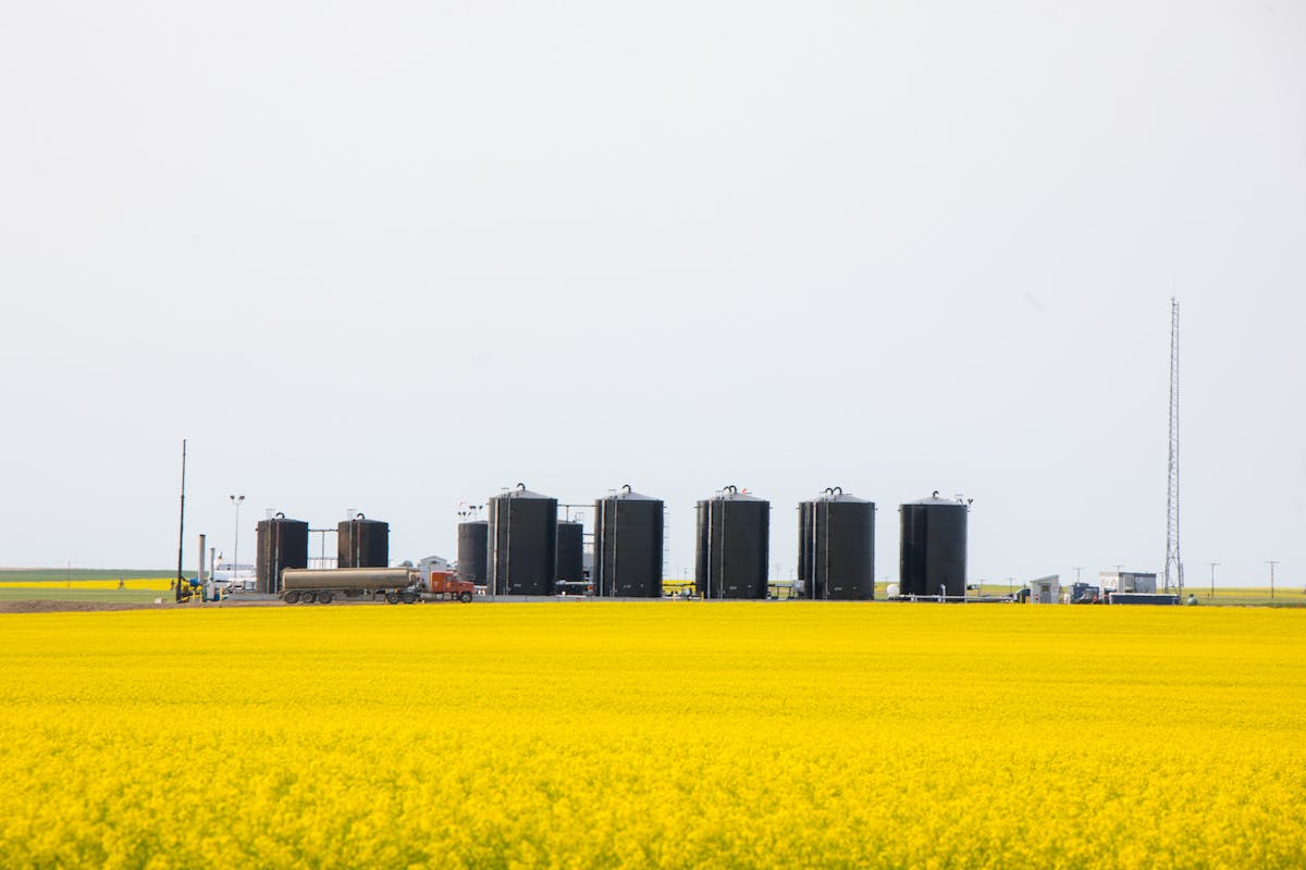 Oil storage containers in a canola field.
