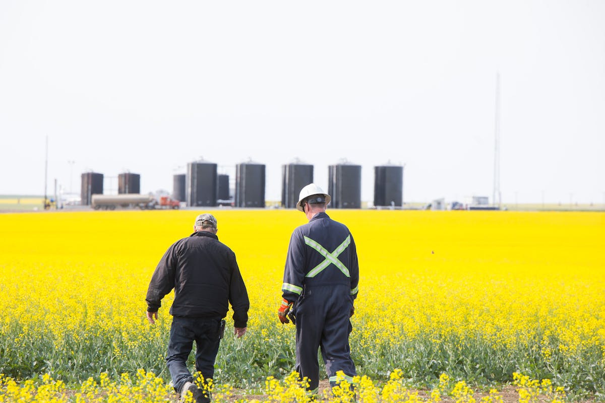 A farmer and an oil worker walk next to each other in a canola field, with an oil rig in the distance.