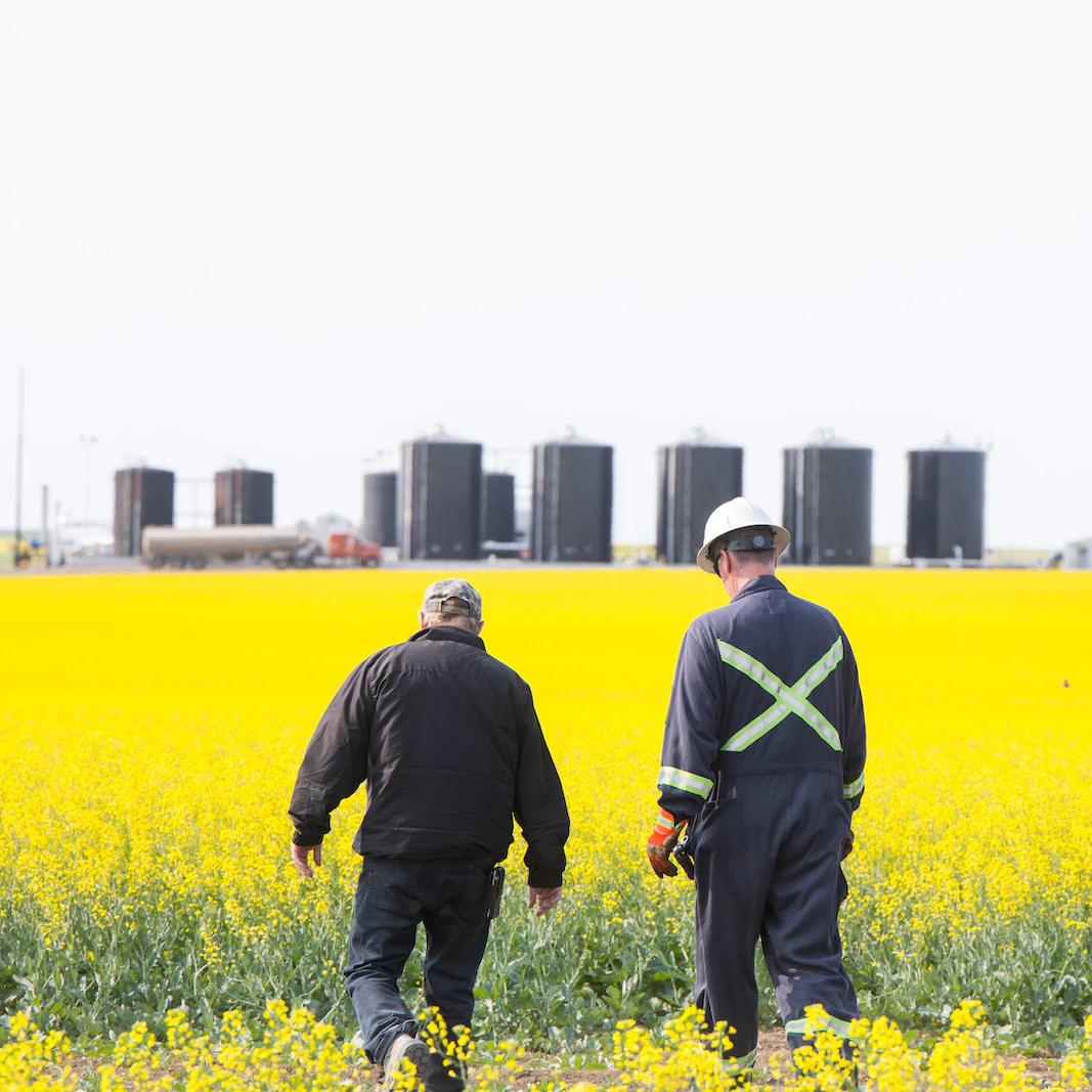 A farmer and an oil worker walk next to each other in a canola field, with an oil rig in the distance.